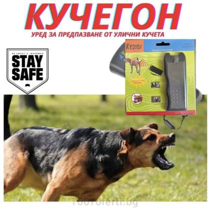Професионален кучегон – дресировка и защита от агресивни кучета