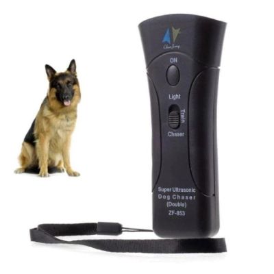 Професионален кучегон – дресировка и защита от агресивни кучета